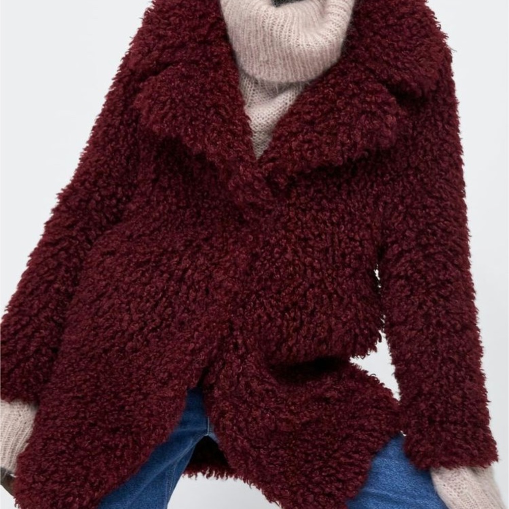 🎉HOST PICK🎉ZARA Soft Fur Coat - Picture 2 of 9